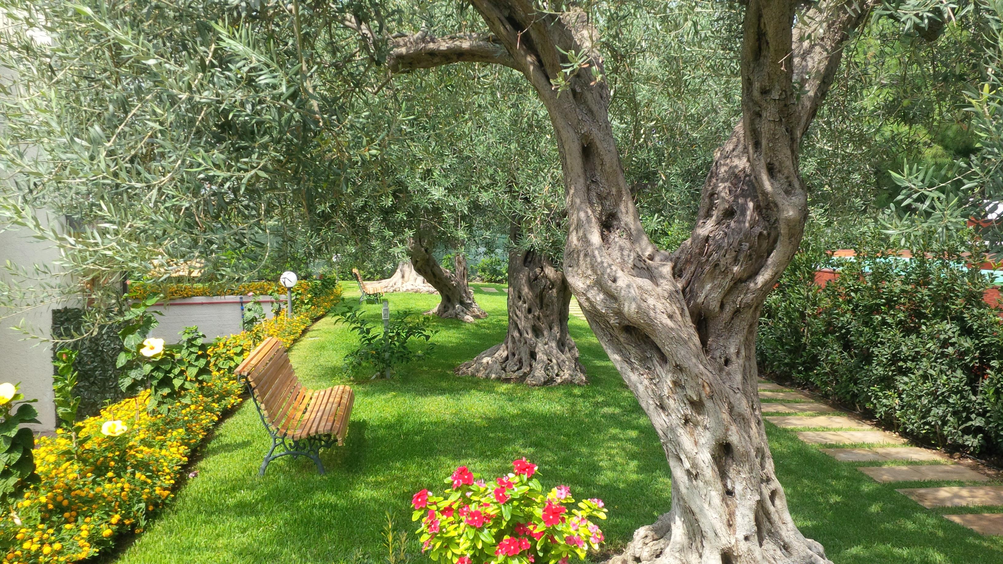 Villa Collina Джардини-Наксос Экстерьер фото